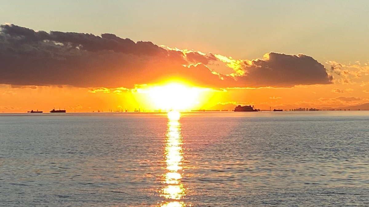 🌳 치바 현립 마쿠하리 해변공원 (치바켄리츠 마쿠하리카이힌코엔) 이미지 3